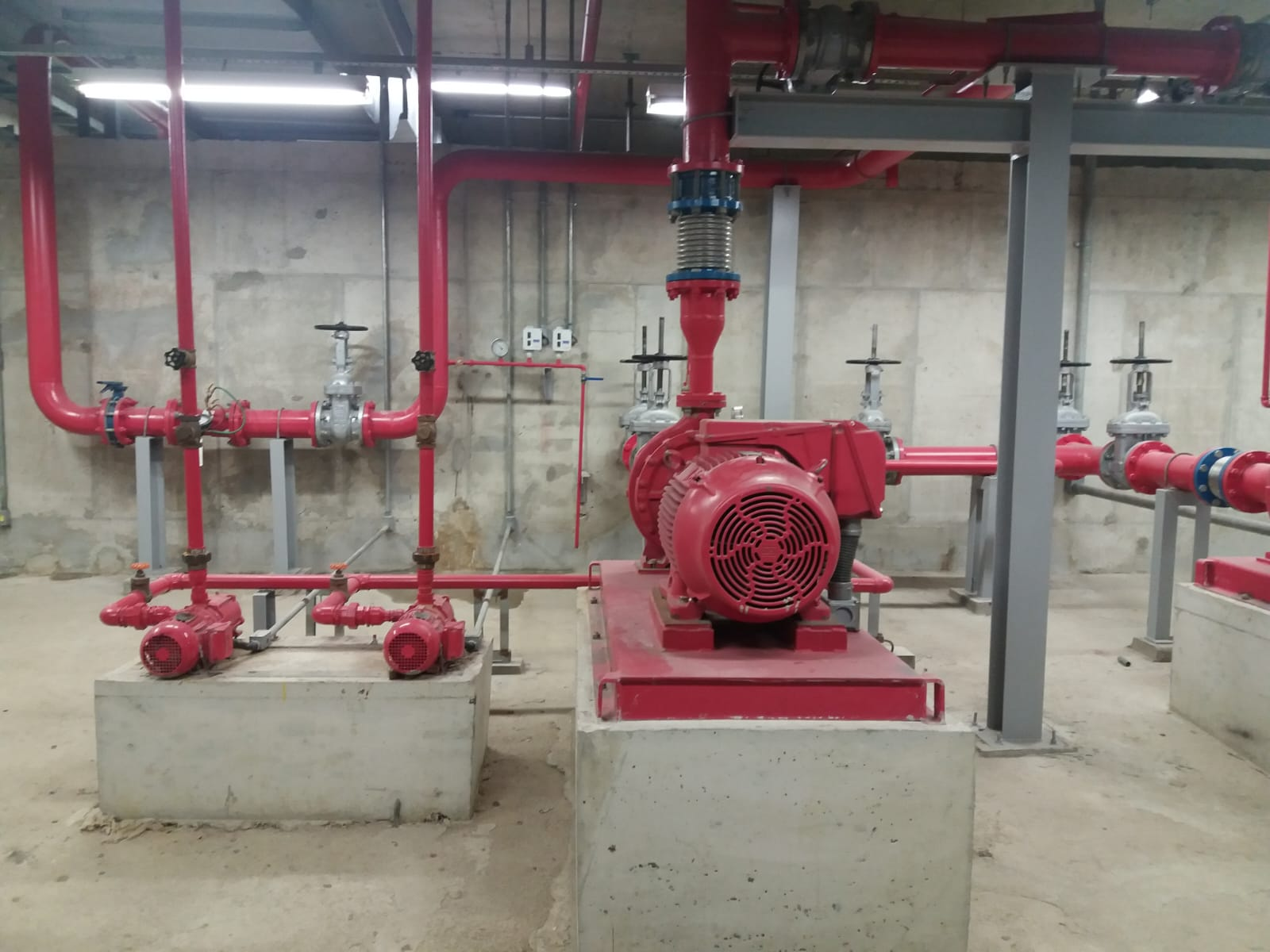 imagem_2026-04-06_221135874